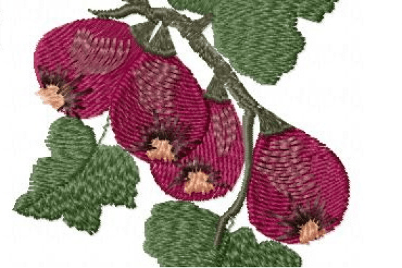 Figs: A Kitchen Embroidery Design That Feels Like Summer in Thread
